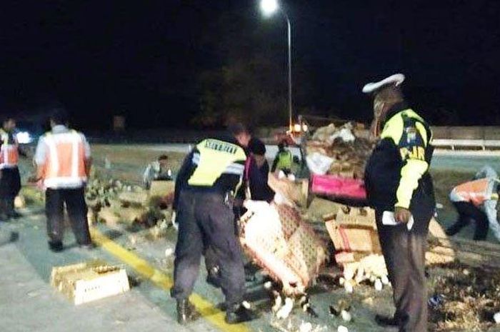Kondisi muatan pikap yang berhamburan usai terperosok di parit Tol Jombang-Mojokerto KM 678/B, Senin (7/10/2019). 