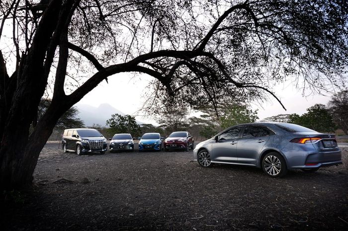 Test drive 5 varian Toyota hybrid menempuh rute 380 km dari Banyuwangi sampai Bali