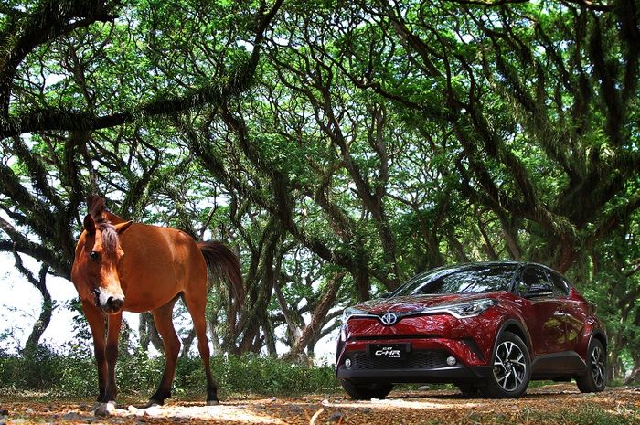Toyota CH-R Hybrid saat test drive di Banyuwangi, Jawa Timur