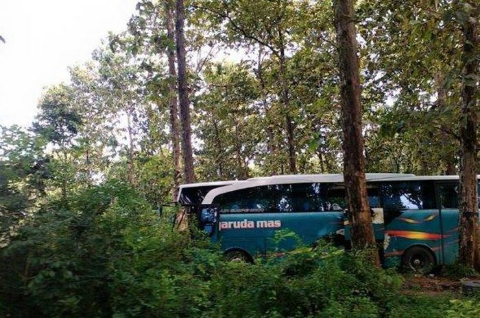 Ilustrasi bus terjebak di hutan