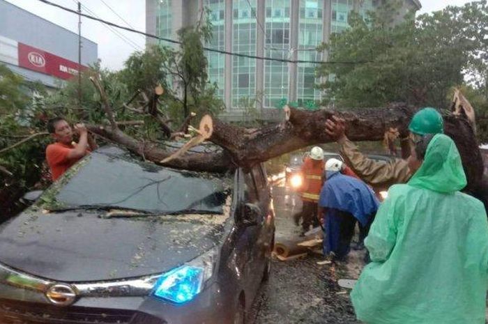 Daihatsu Sigra ringsek tertimpa pohon tumbang di Surabaya, Jatim