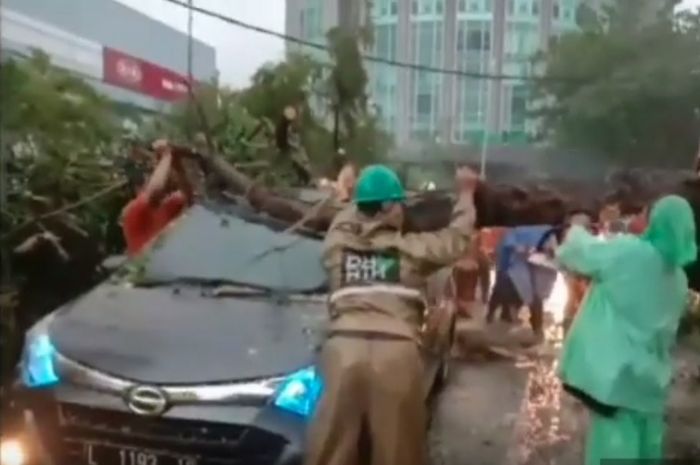  Video penyelamatan mobil tertimpa pohon