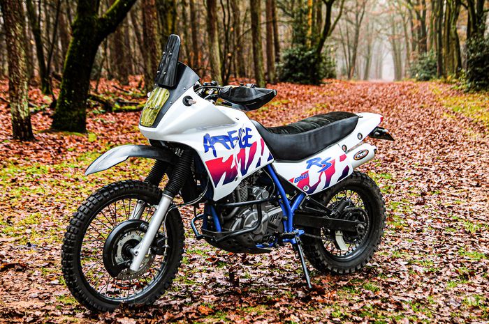 Modifikasi Suzuki DR650RSE