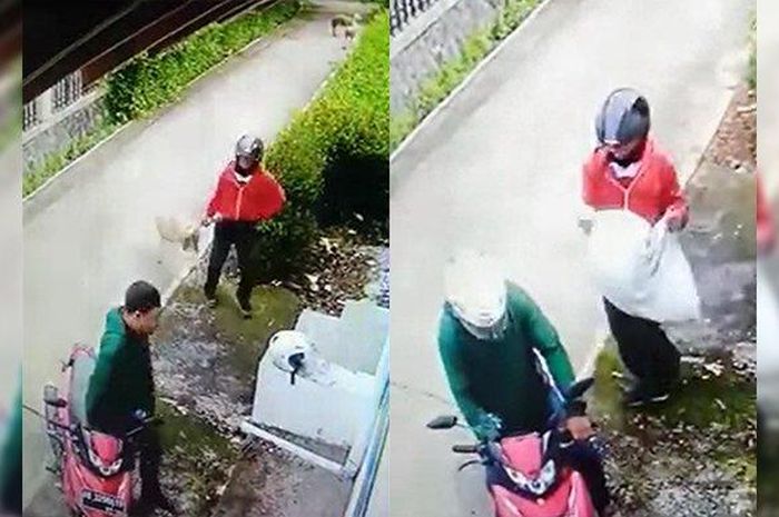 Viral Video Maling Kambing Dimasukan Karung dalam Kondisi Hidup, Ini Keterangan Pihak Kepolisian  