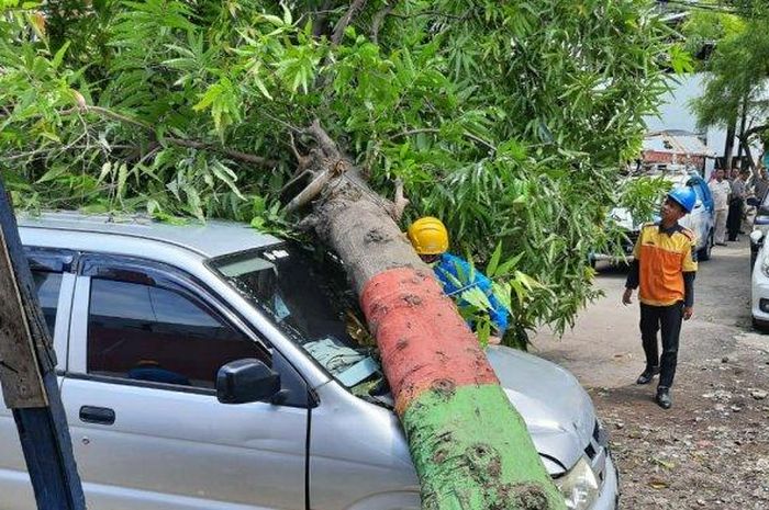 Isuzu Panther tertimpa pohon di Karangayu, Semarang, Jateng