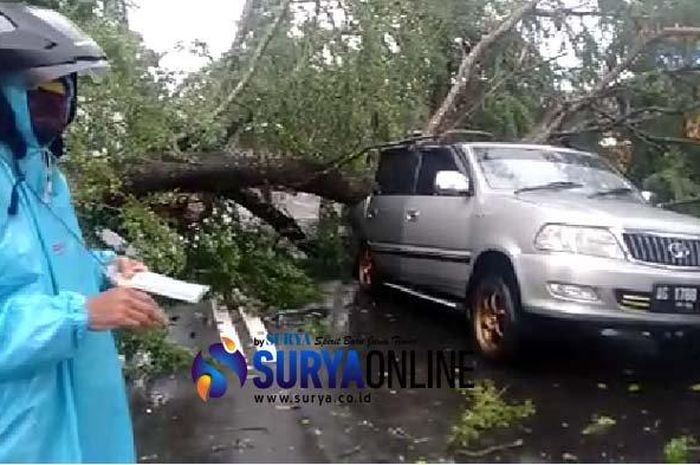 Toyota Kijang LGX ringsek tertimpa pohon