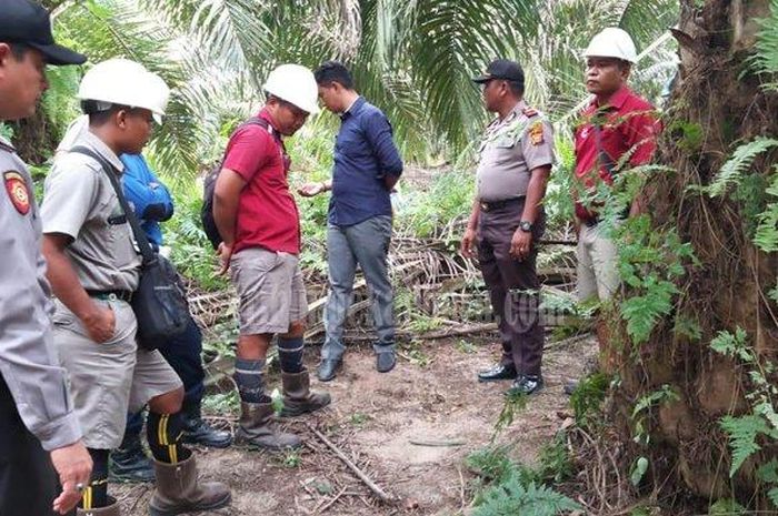 IBU MUDA di Riau Dibegal dan Diikat di Kebun Kelapa Sawit, Awalnya Pelaku Tuduh Korban Bawa Narkoba  