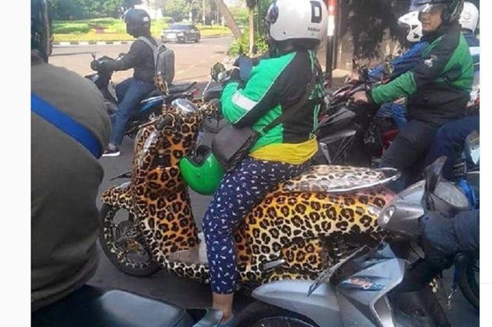 Honda Scoopy cat motif macan Tutul