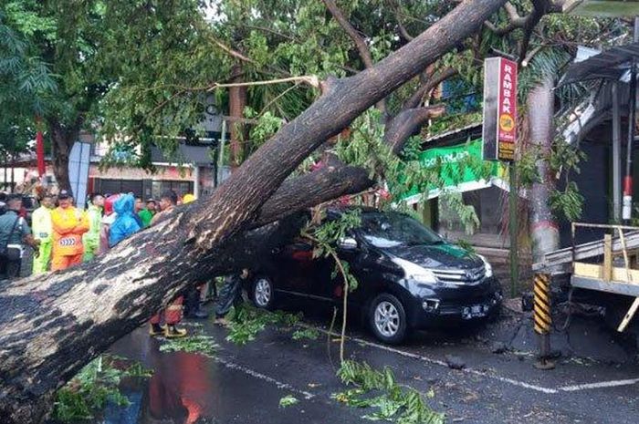 Toyota Avanza ringsek tertimpa pohon trembesi yang ambruk di Jl Pangeran Antasari, Kampung Dalem, Tulungagung, Jatim