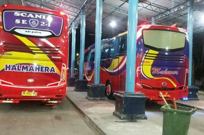 PO Bus Halmahera dan Makmur