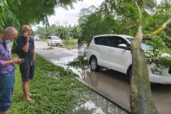 Toyota Kijang Innova tertmpa pohon mahoni yang ambruk di Jl Soekarno-Hatta, Bagan Besar, kota Dumai, Riau
