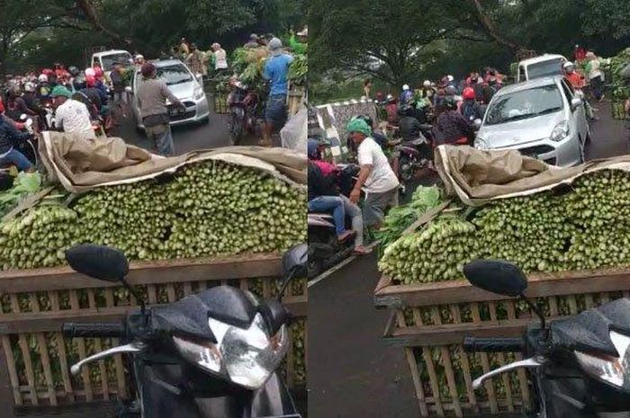 Beredar video yang memperlihatkan para pedagang sayur bagikan sayur gratis kepada pengendara jalan, Jumat (15/5/2020). Pembagian dilakukan di area jalan menuju Pasar Sayur Kedungboto, Desa Kedungrejo, Kecamatan Pakis, Kabupaten Malang. 