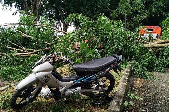 Yamaha Jupiter Z terjang pohon tumbang hingga jungkir balik dan pengendara tewas