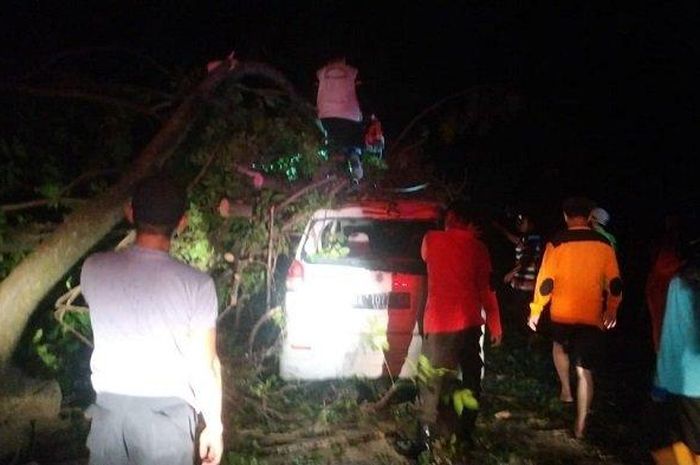 Pohon tumbang menimpa satu unit mobil di Kuburan Turki di Jalan Sutan Syahrir, Kecamatan Padang Selatan, Kota Padang, Sumatera Barat, Selasa (19/5/2020).