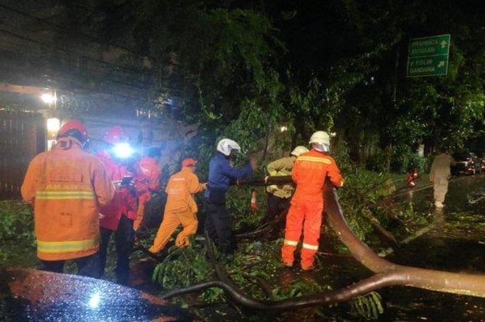 Petugas damkar memindahkan pohon tumbang yang sempat menimpa pengendara motor di Kawasan Kebayoran Baru, Jakarta Selatan pada Rabu (20/5/2020). 
