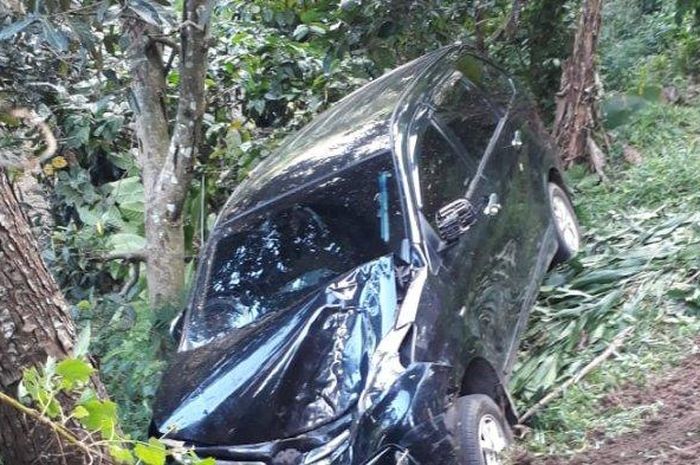 Toyota Avanza yang dikendarai Camat Petungkriyono menerobos kebun warga