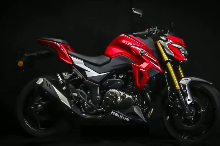 Suzuki GSX-S300 Haohue DR300