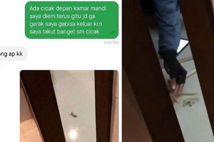 Wanita ini buat pesanan ojol buat pindahkan cicak yang ada di kamar mandi, videonya viral di media sosial, Rabu (3/6/2020) 