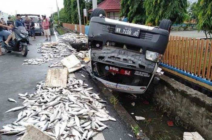 Mobil pick up memuat ikan bandeng kecelakaan tunggal di Jl Trans Sulawesi, Kelurahan Pammanu, Kecamatan Belopa Utara, Kabupaten Luwu, Sulawesi Selatan, Sabtu (13/6/2020)