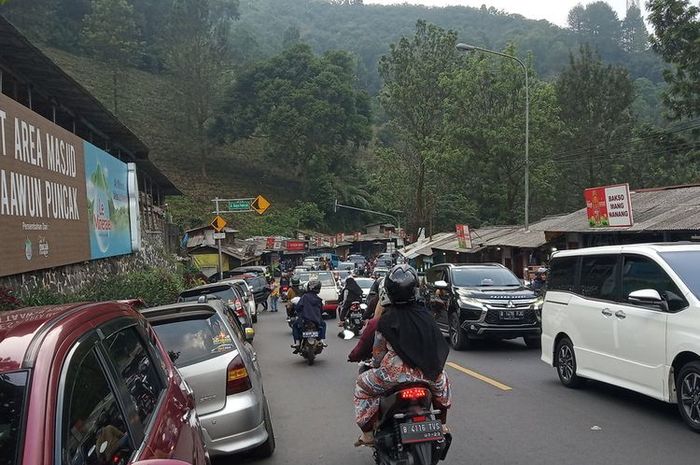 Sejumlah kendaraan mengular di jalur Puncak, Bogor dari arah Gunung Mas, Minggu (14/062020)