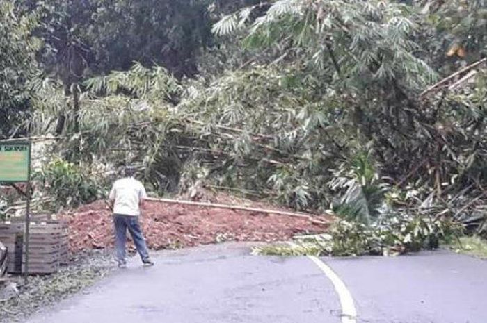 Jalan provinsi Tasikmalaya - Karangnunggal