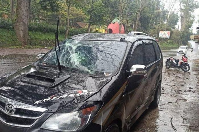 Toyota Avanza ringsek setelah tertimpa pohon