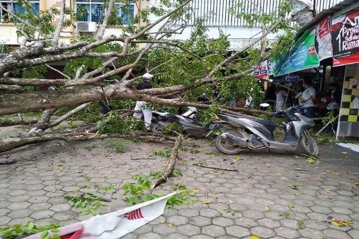 Pohon roboh di jalan RE Martadinata yang roboh menimpa sejumlah motor yang terparkir di depan dealer honda RE Martadinata, Kamis (2/7/2020)  