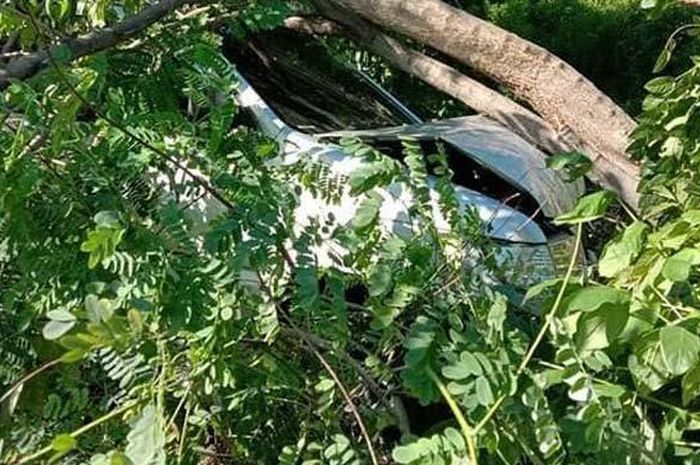 Isuzu Panther terperosok ke semak belukar, terjang pohon hingga ringsek di gerbang tol Banyu Urip Surabaya, Jatim