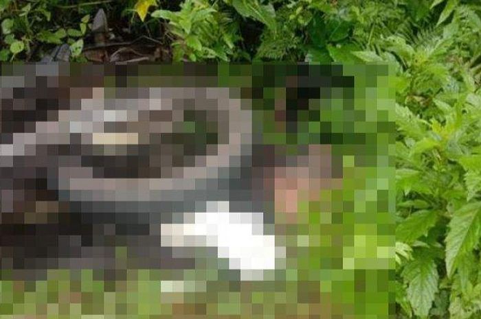 Kawasaki KLX150 dinas Polri ditemukan tergeletak menimpa tubuh seorang polisi di desa Mataindo Utara, Pinolosian, Bolaang Mongondow Selatan