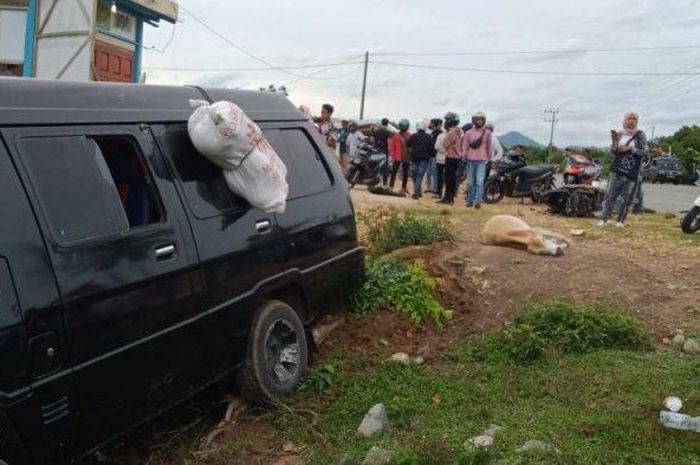 Mobil L300 tabrak sapi yang melintas tiba-tiba dan hantam sepmor hingga warga Aceh Besar meninggal dunia dalam kecelakaan di Aceh Jaya 