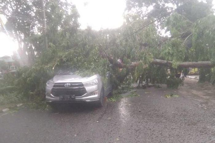 Toyota Kijang Innova yang tertimpa pohon di Jl Jenderal Basuki, Paal Lima, Kota Baru, Jambi