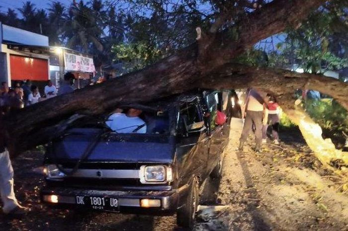 Suzuki Carry tergencet pohon hingga atap ambrol yang membuat pengemudi tewas terjepit di Buleleng, Bali