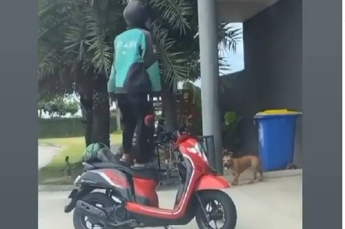 Driver ojol ketakutan pilih berdiri di motor karena ada anjing (Hasil tangkapan layar Instagram @dramaojol.id)