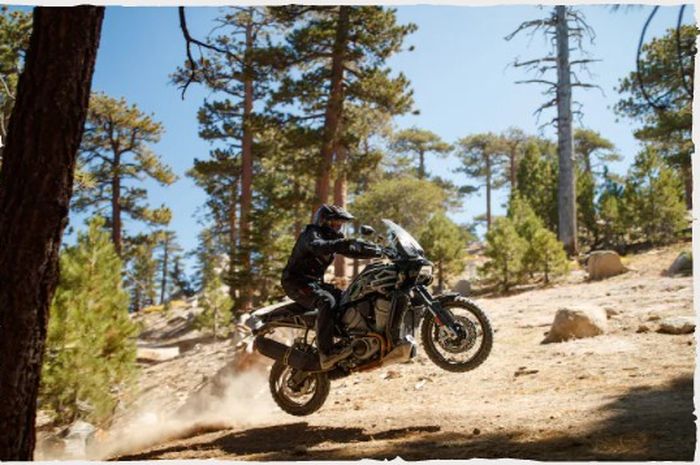 moge adventure Harley-Davidson Pan America