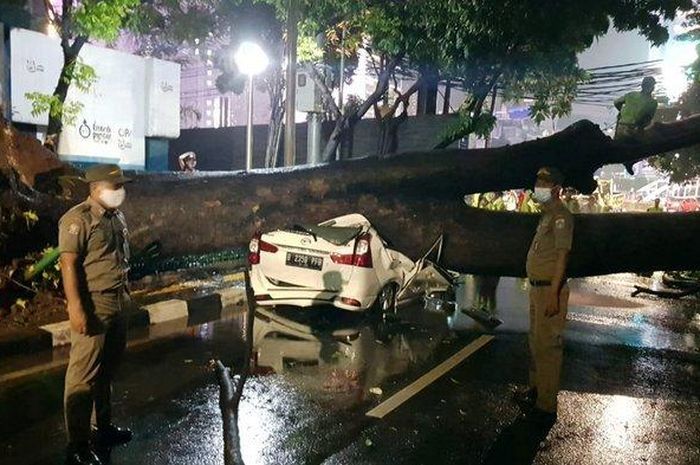 Pohon tumbang di Jalan Sumenep, Menteng, Jakarta Pusat, Senin (21/9/2020) malam.  