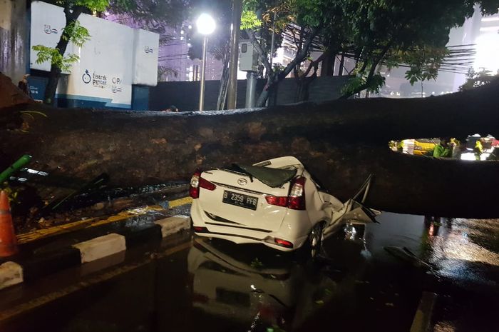 Daihatsu Xenia dengan pelat B 2359 PFB tertimpa pohon tumbang di Jalan Sumenep