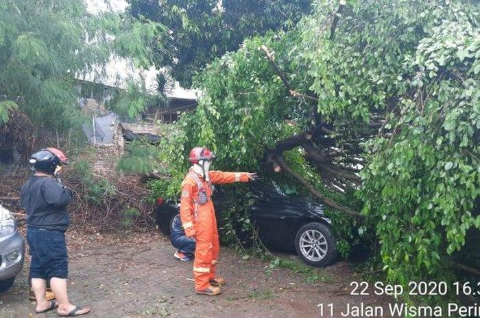 Kondisi BMW yang kejatuhan pohon beringin di Jakarta Selatan