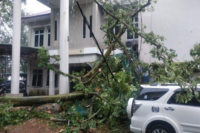 Daihatsu Terios di kantor BBKSDA Sumatera Utara yang tertimpa pohon