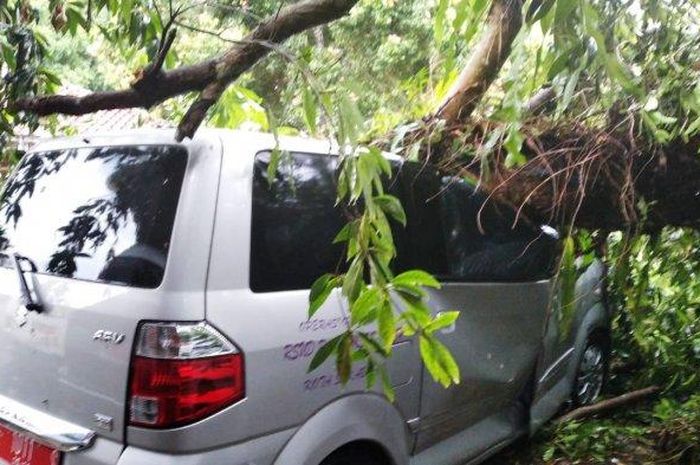 Suzuki APV tertimpa pohon roboh akibat hujan angin yang melanda kota Sukabumi, Jawa Barat