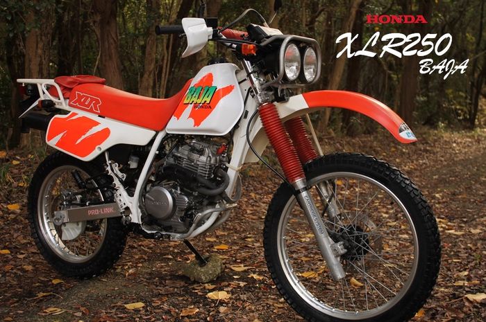 Begini lho sosok Honda XLR250 Baja yang memiliki dual headlamp seperti XR250 Baja.