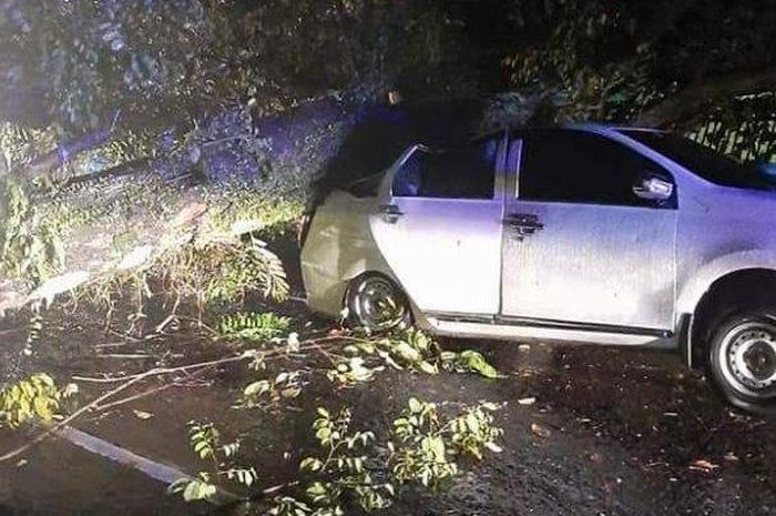 Daihatsu Sigra tertimpa pohon ambruk di Jl Arie Lasut, Kombos Timur, Singkil, Manado, Sulawesi Utara