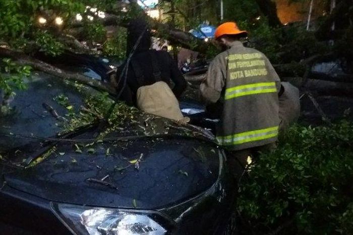 Empat mobil dan enam motor tertimpa pohon setinggi 10 meter yang ambruk di kota Bandung, Jawa Barat