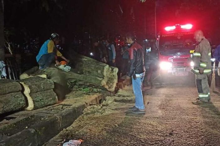 Petugas Diskar PB Kota Bandung tengah mengevakuasi pohon tumbang di jalan Taman Sari Kota Bandung, dua orang tewas dalam kecelakaan ini, Sabtu (14/11/2020)