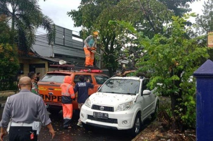 Toyota Rush tertimpa pohon ambruk di Jl Galunggung, Tawang, kota Tasikmalaya, Jawa Barat