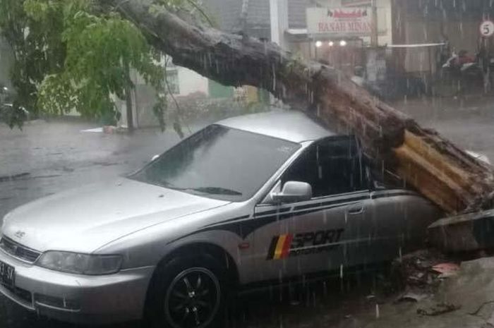 Honda Accord Cielo sekejap ambles di atap tertimpa pohon ambruk di Mojosari, kabupaten Mojokerto, Jawa Timur