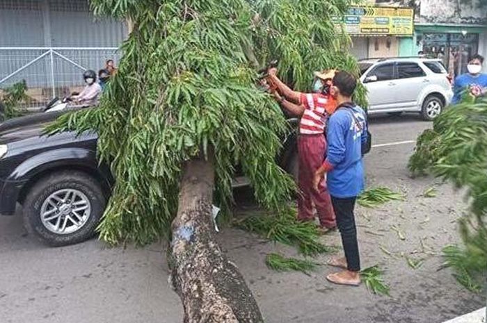 Ford Everest milik salah satu pejabat Dinas PU Pemkab Bangkalan tertimpa pohon ambruk