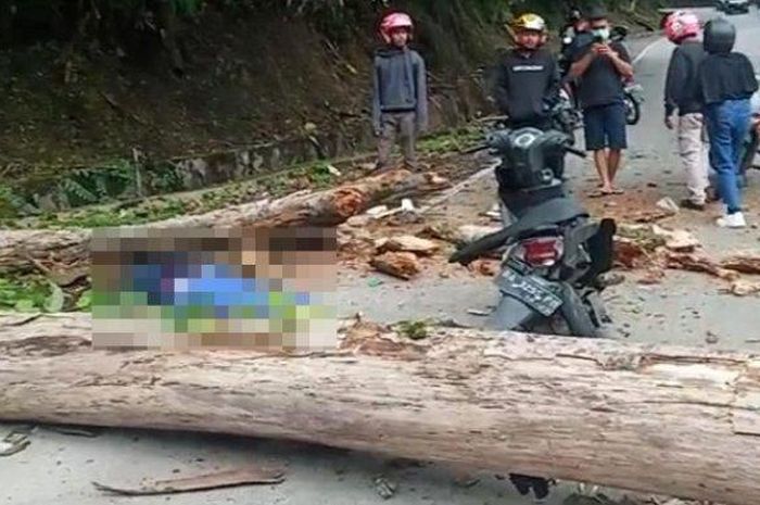 Honda BeAT ambyar ditebas pohon ambruk di kawasan Sitinjau Lauik, kota Padang