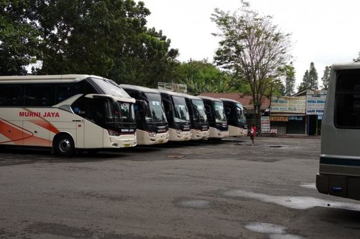 bus yang sedang parkir di Terminal Jombor, Daerah Istimewa Yogyakarta.