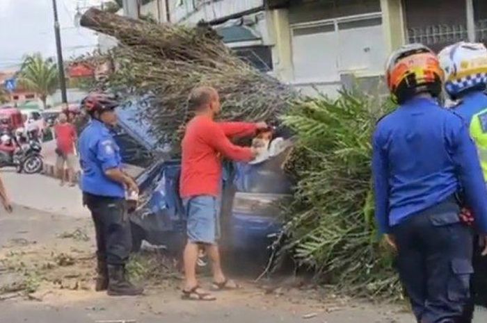 Suzuki Carry Pikap yang amblas digebrak pohon ambruk