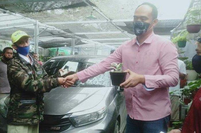 Sah, Honda Brio milik Sultan Bunga asal Depok ditukar delapan tanaman hias, termasuk Janda Bolong